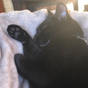 Meet your Posher, Elijah